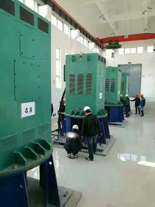海棠某污水处理厂使用我厂的立式高压电机安装现场