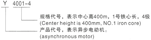 西安泰富西玛Y系列(H355-1000)高压海棠三相异步电机型号说明
