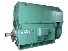 海棠Y系列6KV高压电机